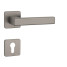 AS - TILIA - QS 7S | T - Titan
