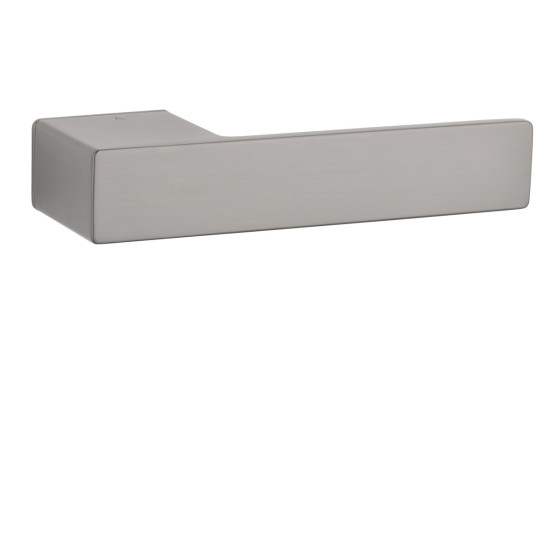 ASG - LUDISIA - RT | T - Titan