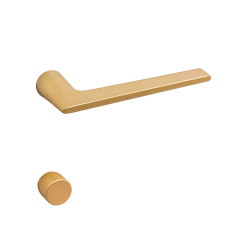 VM - LIEVE | OLM - Zlatá matná (02)